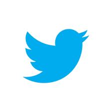 Twitter 2012 Logo