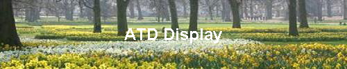 ATD Display