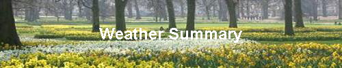 Weather Summary