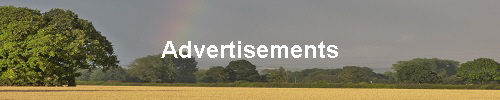 Advertisements